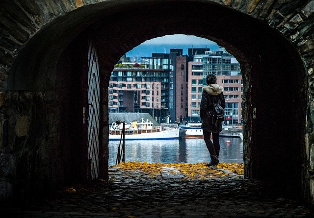 oslo norway scandinavia europe norwegian landscape scenery water nature sky autumn clouds the background character woman