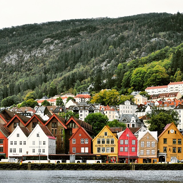 What the Data Doesn't Tell You — Norwegian vs Carnival 2026