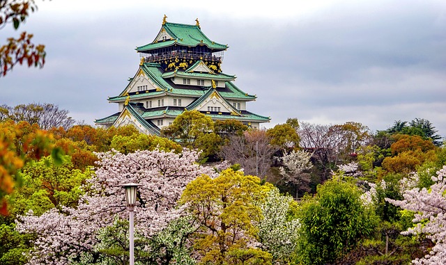 Key Factors to Consider — Osaka Spring 2026 Flights