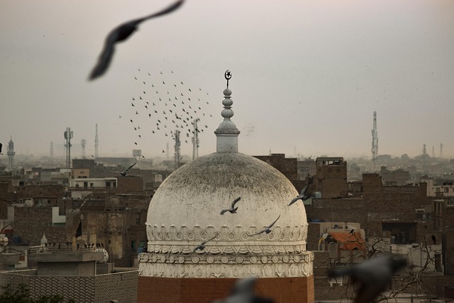 birds religion nature islam