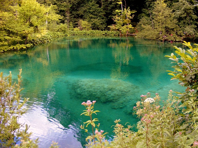 lake blue nature forest plitvice croatia