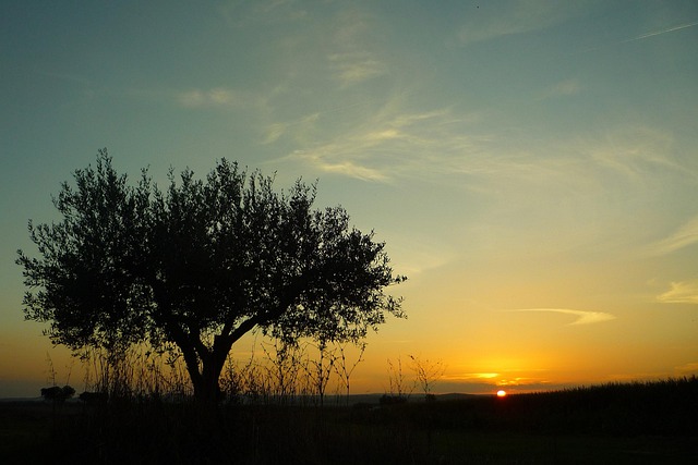 Common Mistakes — Portugal Alentejo rail pass prices 2026