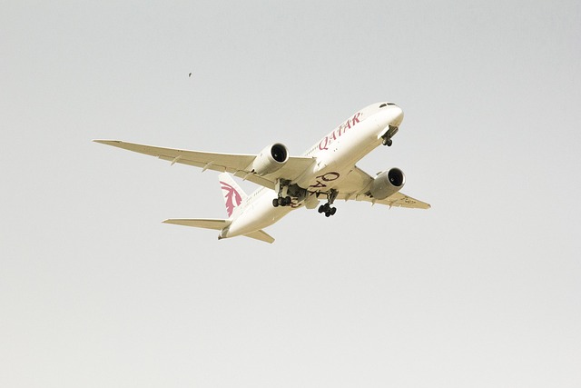 Key Factors to Consider — Qatar Airways Qsuites Doha