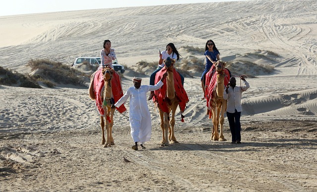 camels desert safari sealine qatar landscape tourism qatar desert riding nature qatar qatar qatar qatar qatar