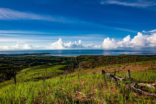 landscape tropical sour golden coast the indian ocean the slash and burn rice java island