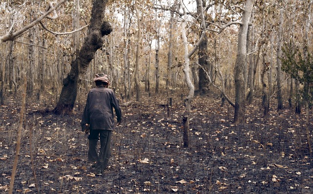 man forest forest fire farmer clearing nature cambodia burned down slash and burn lonely old headscarf keffiyeh kefije
