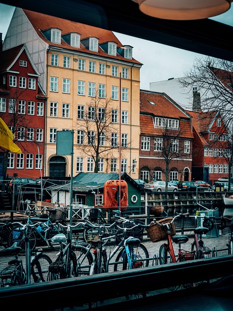 Points or Plastic — SAS Copenhagen