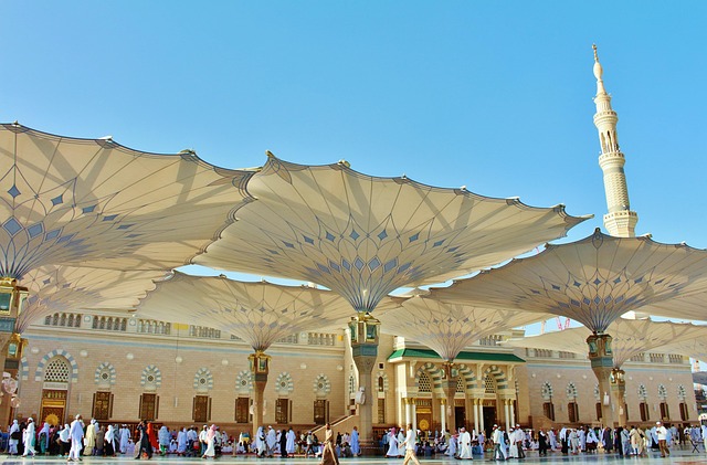 Costs and numbers that matter — Saudi airport closures raise fares