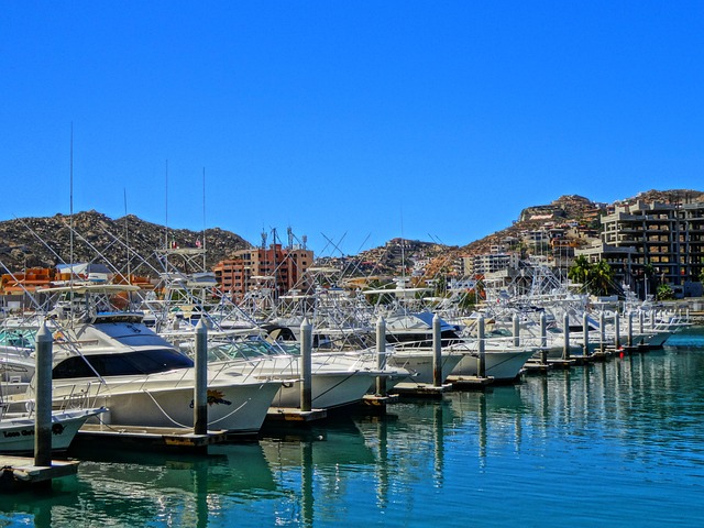 What the Screens Miss — Seattle to Cabo Flights