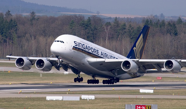 JFK-SIN Roundtrip Calculation and Profit — Singapore Airlines Error Fares