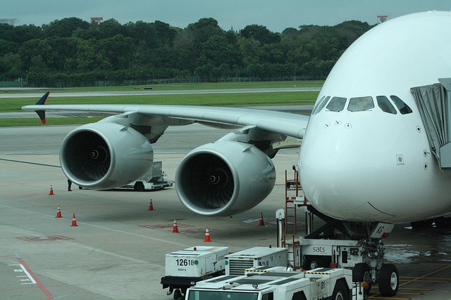 Hidden Risks — Singapore Airlines Error Fares