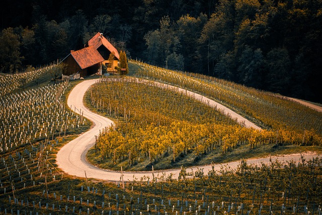 Key Factors to Consider — Slovenia Wine Country on a Budget