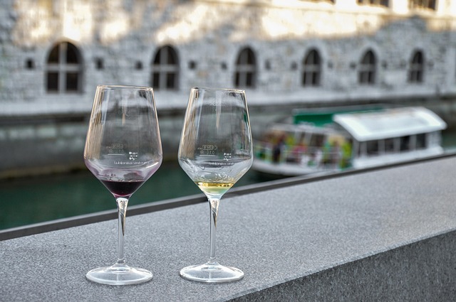 Insider Tactics — Slovenia Wine Country on a Budget