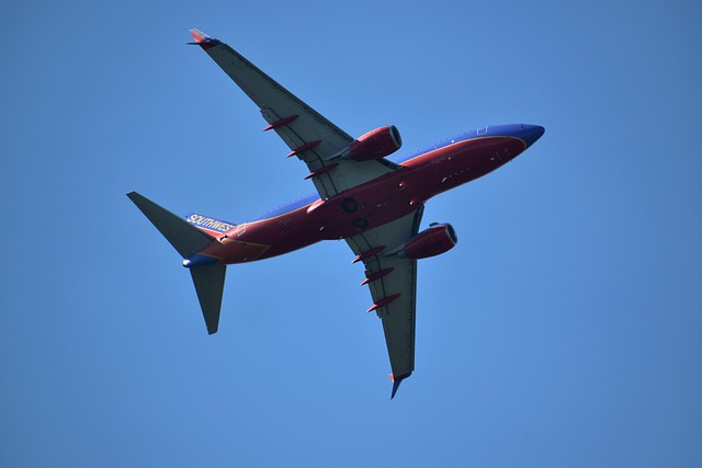 Cash fare vs Rapid Rewards redemption — Southwest Airlines Profit Cut