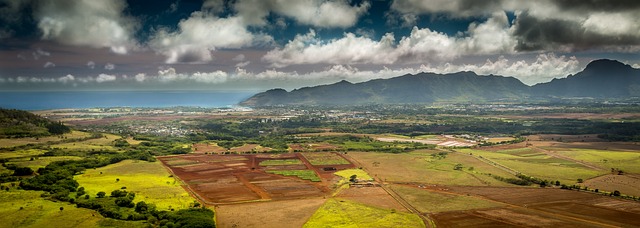 Spring 2026 Data — Spring 2026 Kauai Flights