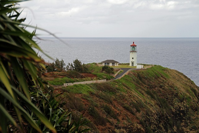 What the Data Doesn't Tell You — Spring 2026 Kauai Flights