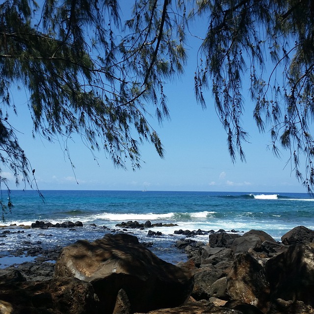 Refundable Premium vs. Expected Savings — Spring 2026 Kauai Flights