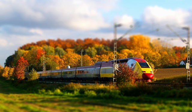 Common Mistakes — Swiss scenic rail