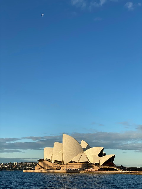 sydney nature australia sun