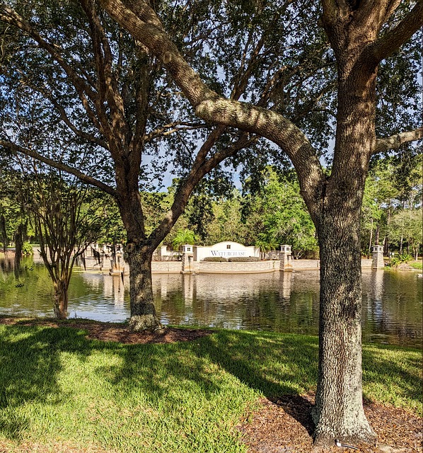 Cash vs Miles Math — Tampa Winter Business Class Flights
