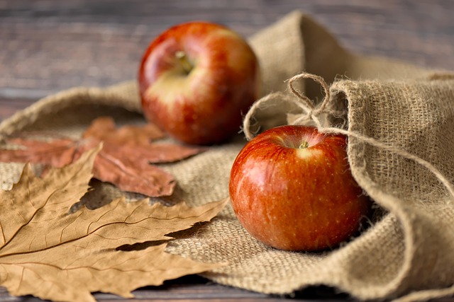 What the evidence does NOT establish — Thanksgiving 2026 Flights