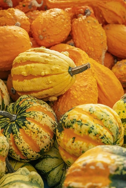 Costs and numbers that matter — Thanksgiving airfare booking window