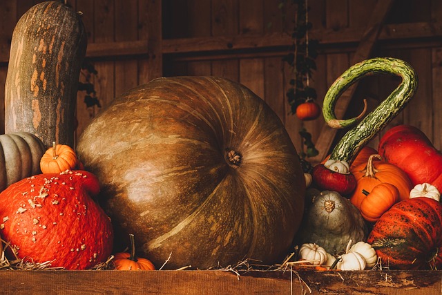 What the evidence does NOT establish — Thanksgiving airfare booking window
