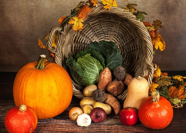 Evidence: three sources, one convergence — Thanksgiving airfare booking window