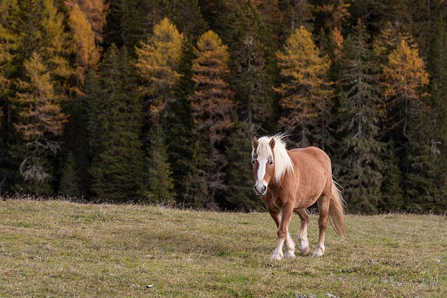 How It Works — The Dolomites and Milan 2026