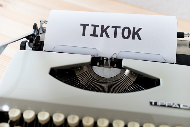 Key Factors to Consider — These 10 TikToks of Unhinged Tourist