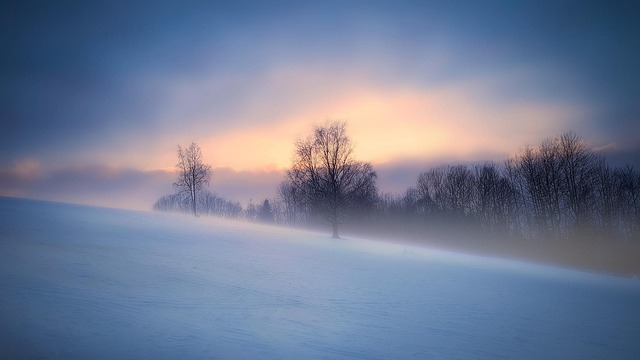 kokava kokava line slovakia hill nature skiing a tree trees the sun sunset view tourism winter the sky fog this slovakia