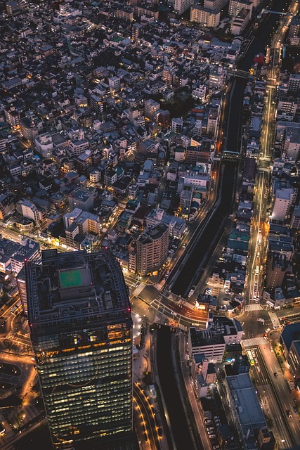 skyline tokyo night big city metropolis city buildings skyscrapers architecture cityscape downtown urban aerial view aer