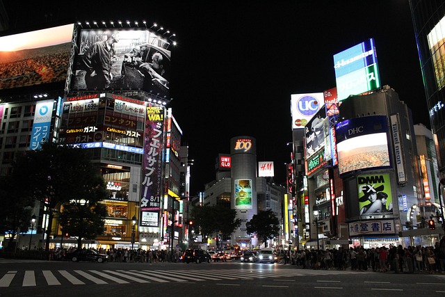 Insider Tactics — Tokyo Sushi Lunch Trip 2026