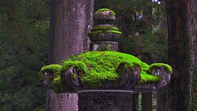 Worked Child Booking: Three Ueno — Tokyo to Nikko Train Fares