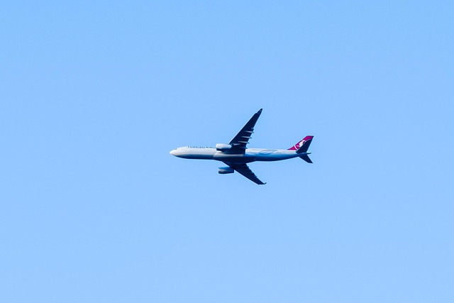 turkish airlines plane large in the air boeing 737 800 vnukovo airport airbus airline summer domodedovo the airport russ
