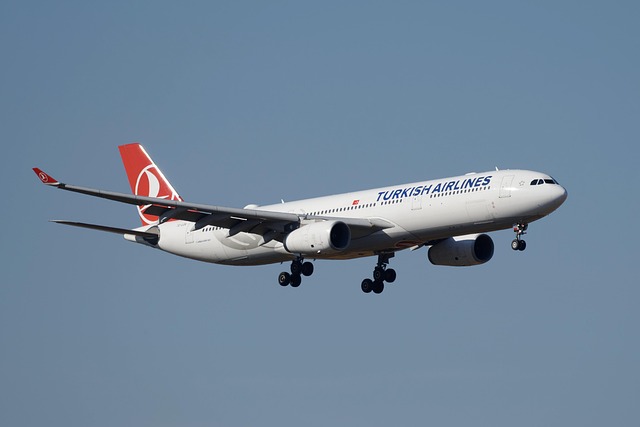 What the Data Doesn't Tell You — Turkish Airlines Stopover