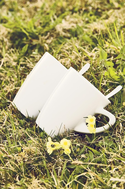 cups love few romantic valentine s day greeting card together love symbol grass two united loyalty as a couple romance f
