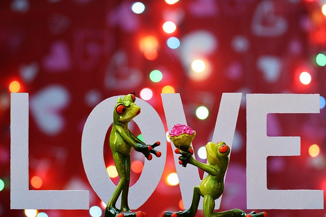 love valentine s day few in love romance together romantic lovers happiness heart happy connectedness hearts loyalty two
