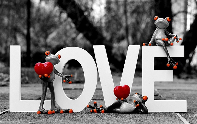 frogs love valentine s day greeting card romance affection feelings together united characters lettering love valentine