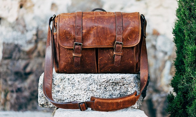 Decision Framework — United's Bag Fee
