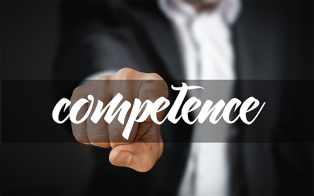 competence experience flexibility knowledge perfomance ability goal quality creativity responsibility strategy service p