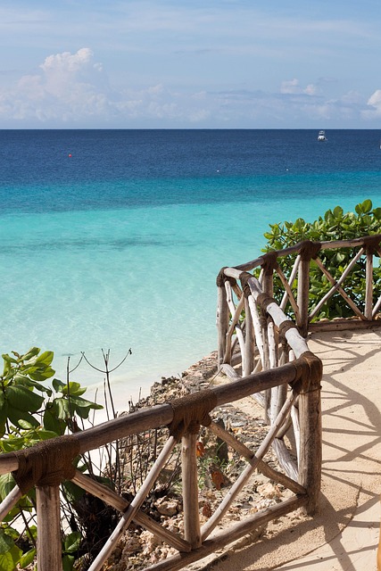 How It Works — Vacation paradise under attack as officials
