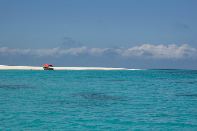 Key Factors to Consider — Vacation paradise under attack as officials