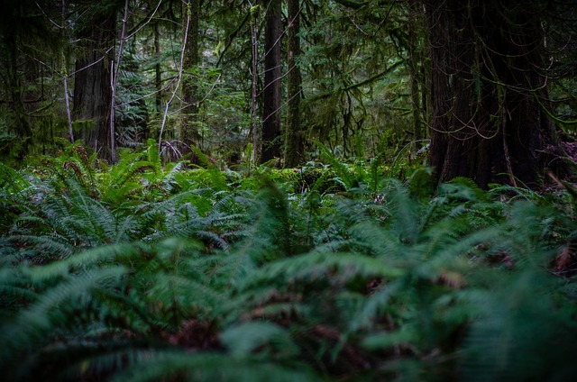 Costs and numbers that matter — Vancouver Island award trip cost 2026