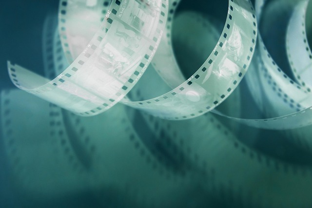 The Paper Trail — Venice Film Festival 2026