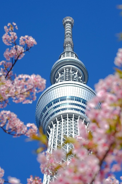 Key Factors to Consider — Verify ANA's Tokyo Business Award Price