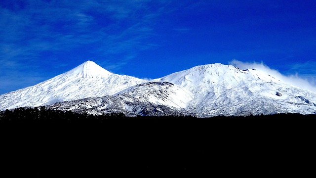 Key Factors to Consider — Winter 2026 Canary Islands