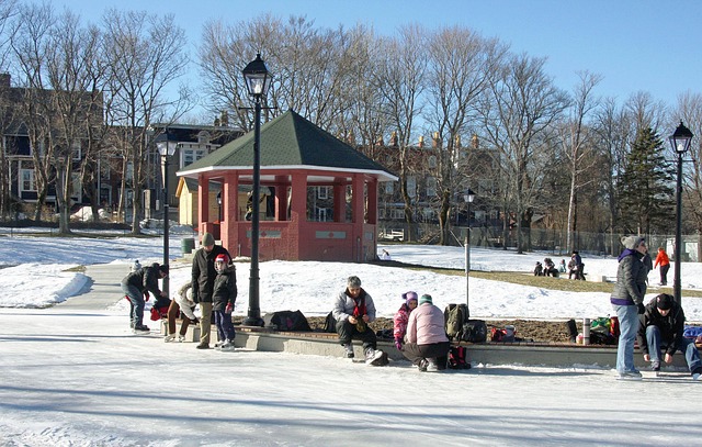 Compare: Where to Verify the Fare — Winter premium fare check