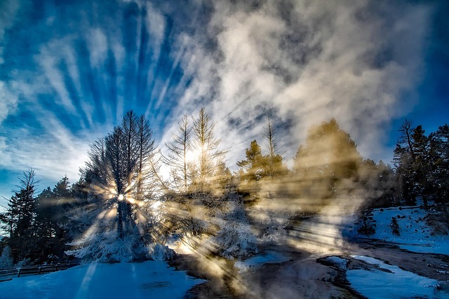 sunlight fog winter sun rays sunbeams snow forest trees mist sunset sunrise woods landscape nature yellowstone national