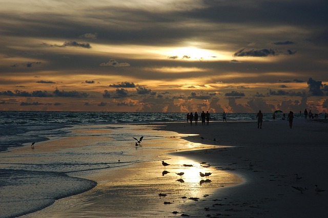 sunset, siesta key, florida, beach, nature, brown key